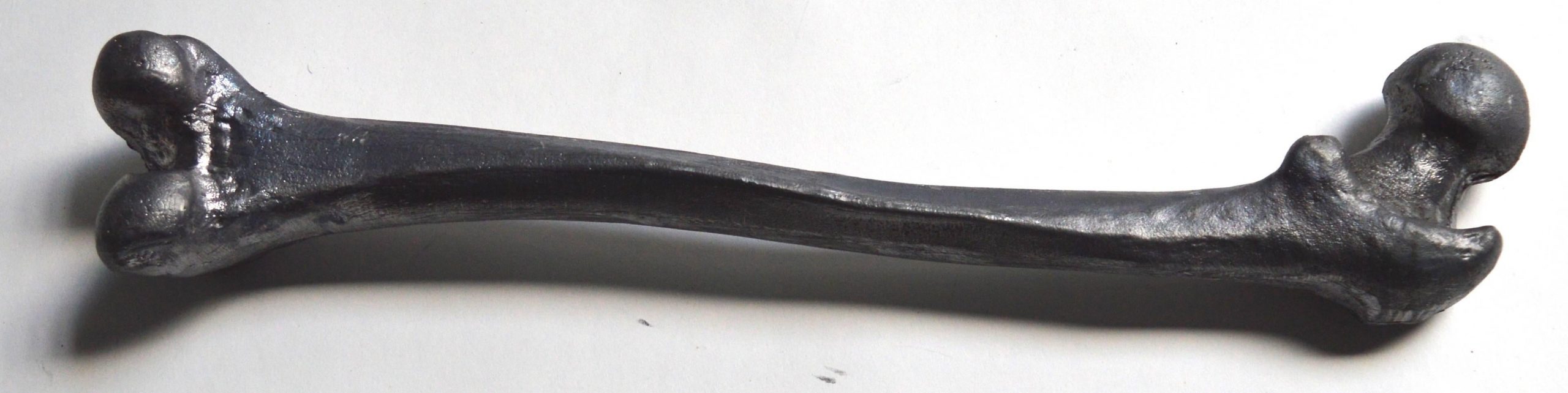 Leadbone